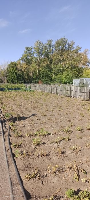 Продаем дачу в обществе Мичуринец