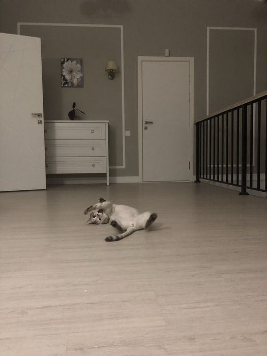 Дом с участком 17 соток