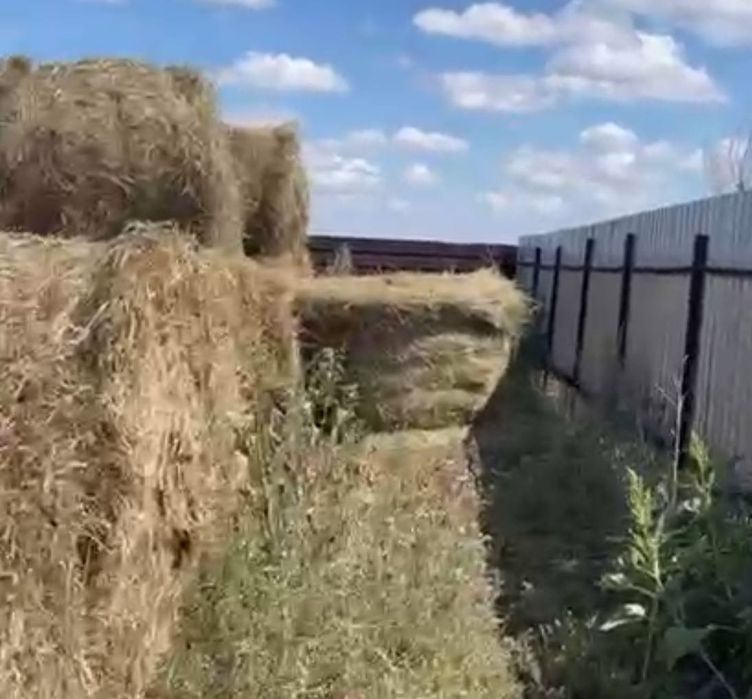 Сено рулоны разнотравье 10000 самовывоз