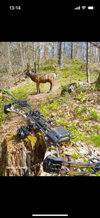 Arc Compound PSE ATK Stinger ca nou.