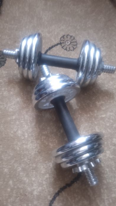 Гантели разборные