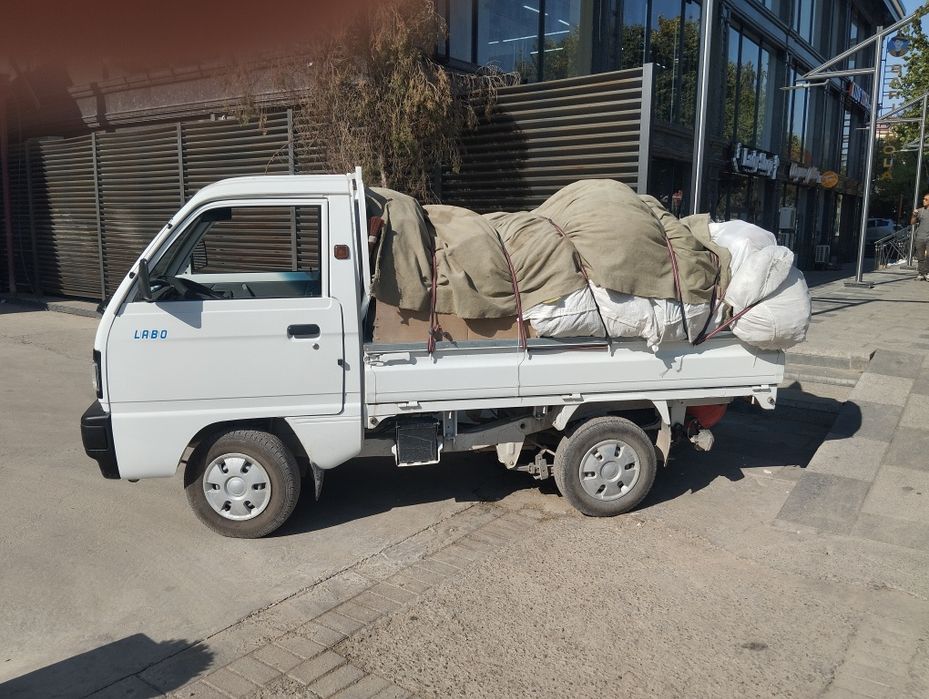 Musir tsshish xizmati/Tez va arzon