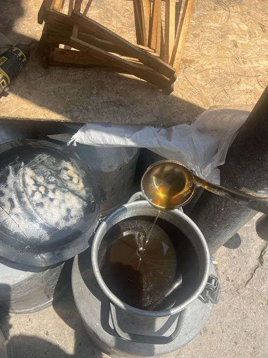 Продам свежий мед оптом и в розницу
