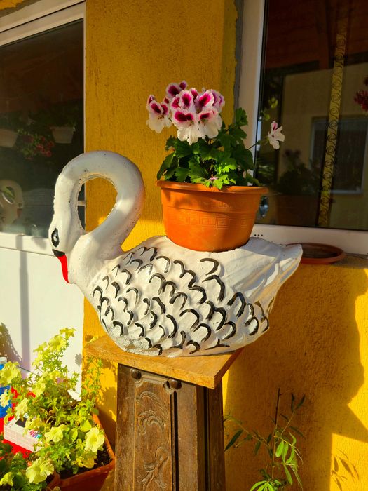 Vand decor ghiveci lebada