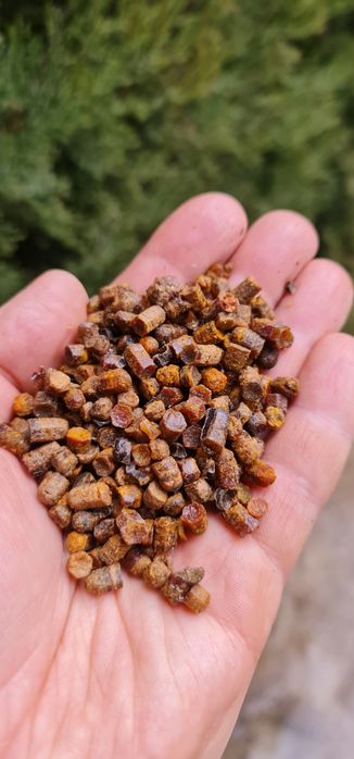 Натуральный мёд оптом от 25кг и больше