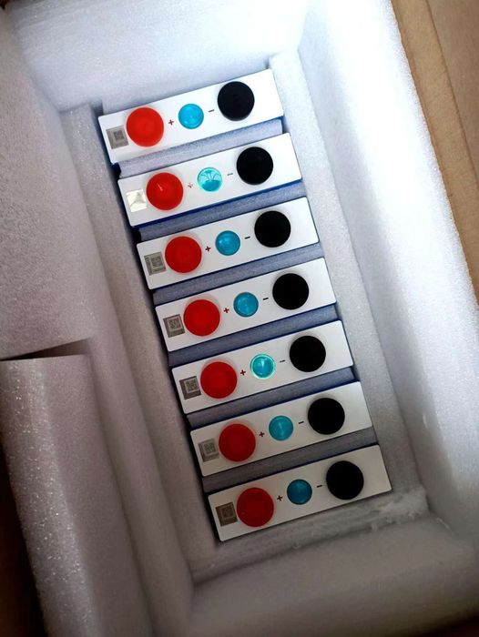 Тяговый аккумулятор