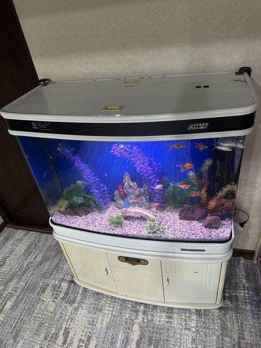 Xitoy Akvariyum 300litr