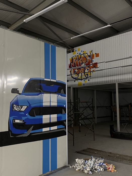 Художественная роспись стен | Муралы | Граффити