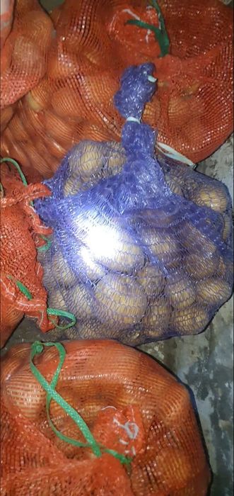 Картошка домашняя