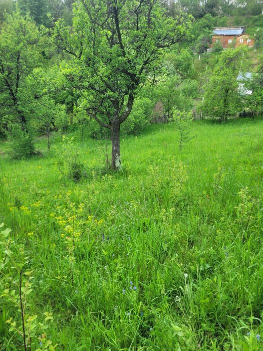 Teren de vanzare Varfuri, Dambovita