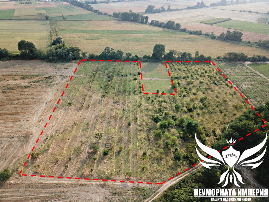 Продава се Парцел в с. Боянци, Област Пловдив - 29000 кв.м за 5 €/кв.м - Снимка #6