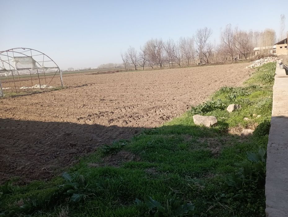 Uchastka yer sotiladi