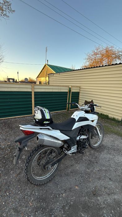 racer ranger 250