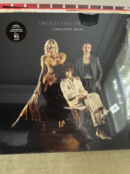 Vinyl indie rock & indie folk oferta