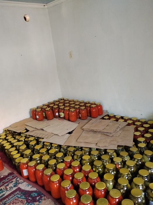 Банка сатылады туркестанда