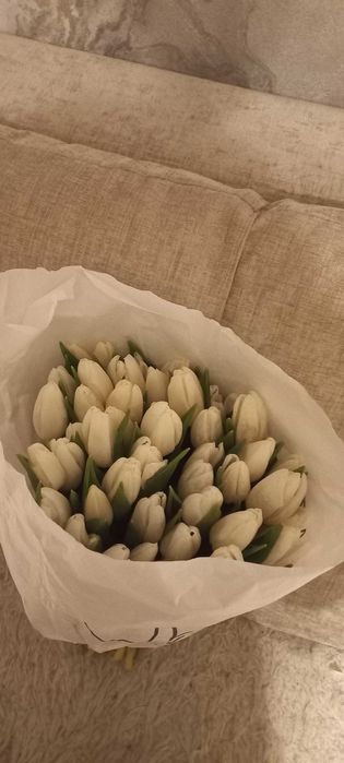 Продаю тюльпаны!!!