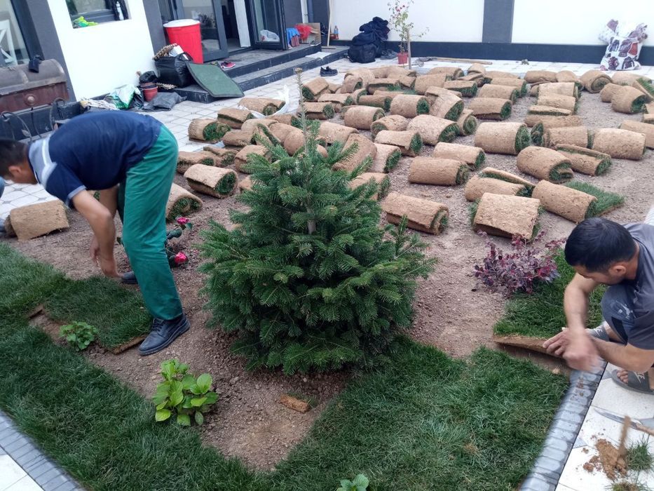 Pali fGazon xizmatlari