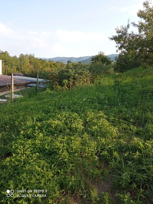 Vand Teren Intravilan Cisnadioara