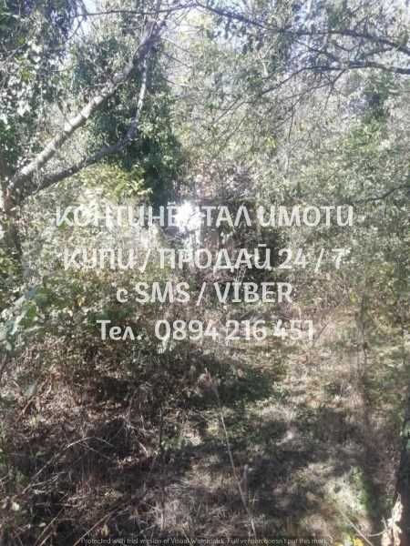 коддд 62798. Парцел 950м2 до центъра на селото с ток и вода