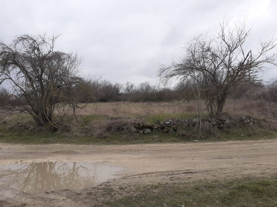 Продава се Парцел в Белослав - 5012 кв.м за 14 €/кв.м - Снимка #5