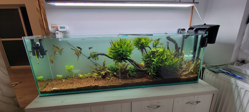 Vând acvariu complet utilat plus stand