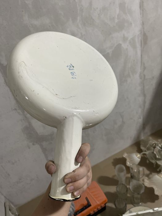 Утка медицинская