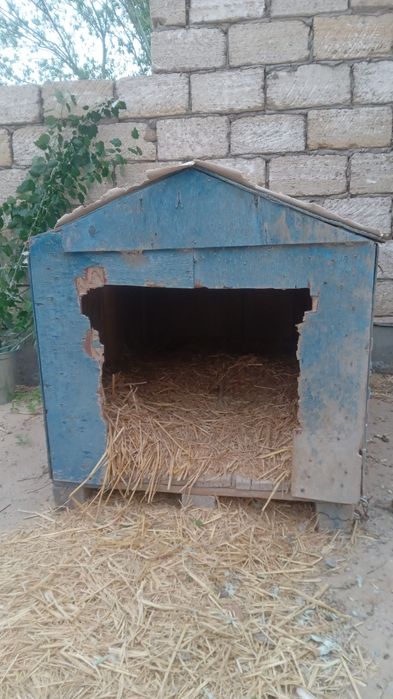 Домик для собакк