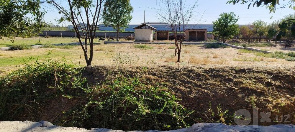 40 sotix hovli uy sotiladi