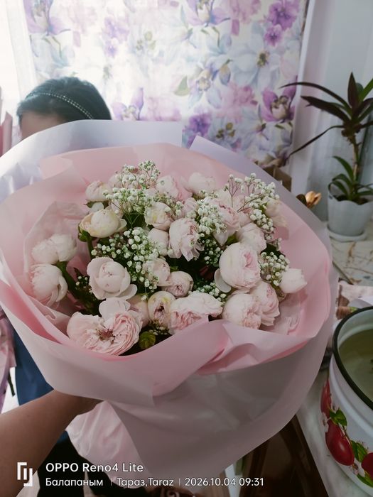 Цветы цветы дешевле