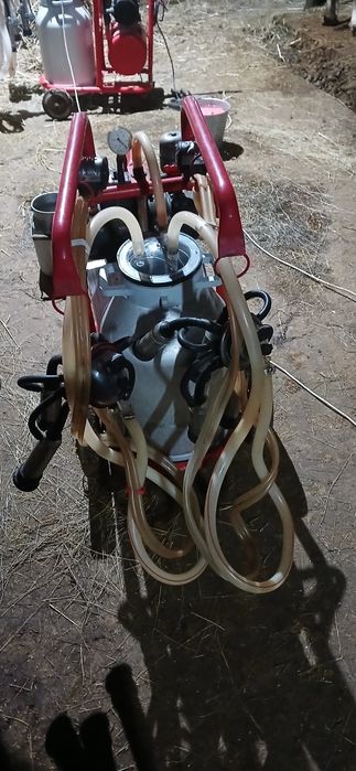 Апартаменты доильный