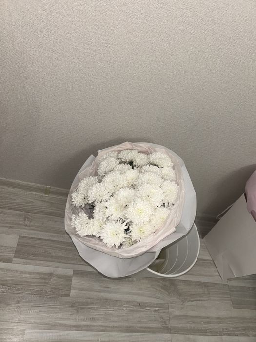 Свежие и красивые цветы
