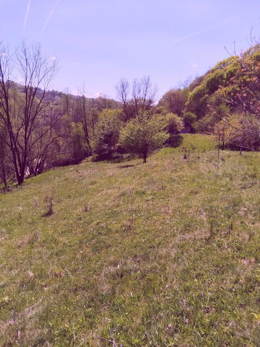 Teren de vis la munte – 7.795 mp – construibil – pârâu, pădure, fără vecini – Vâlcea