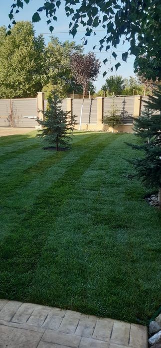 Gazon rulou, amenajare și întreținere spatii verzi!!!