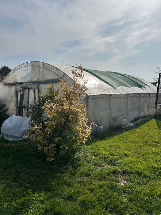 Голяма оранжерия 40кв.м