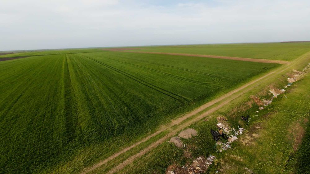 Filmări Profesionale cu Drona - Terenuri, Case, Mașini | DJI Avata 2