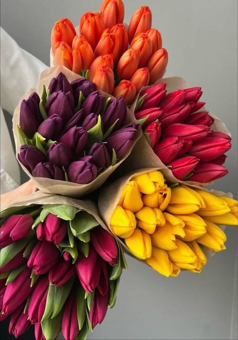 Тюльпаны город Тараз оптом и в розницу