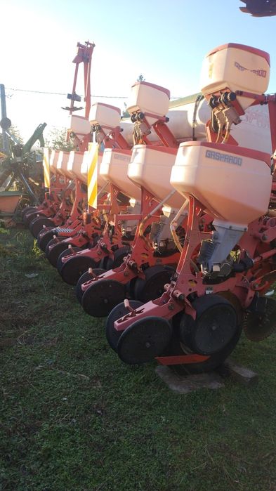 Semanatoare gaspardo porumb 8 randuri maschio gaspardo renata, MTR