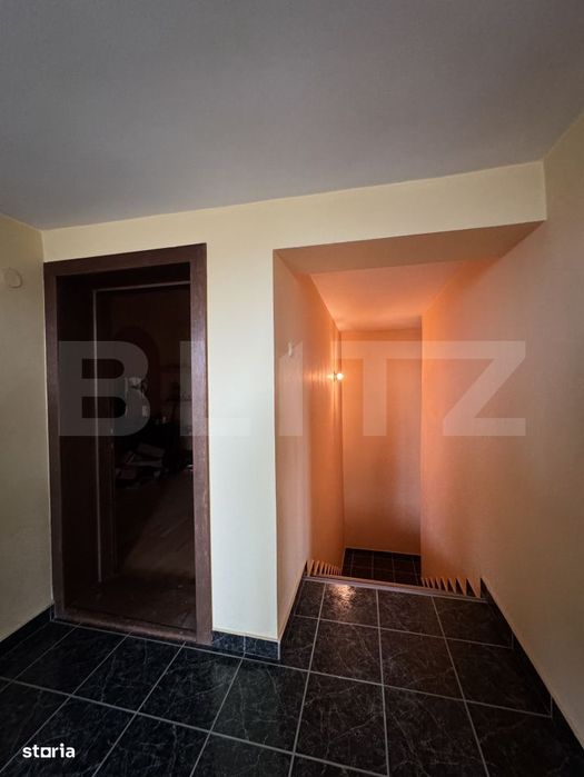 Casa S+P+E+M, 230 mp teren, Puskin