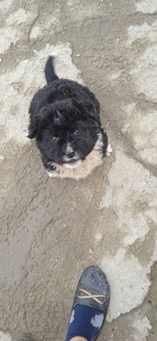 Aqlli qulga urgangan