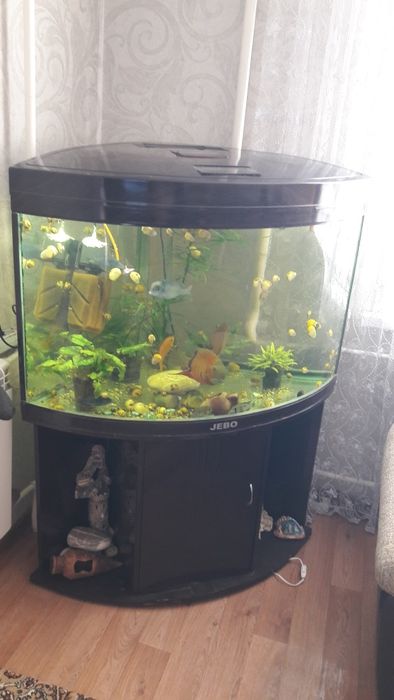 Аквариум фирмы JEBO.