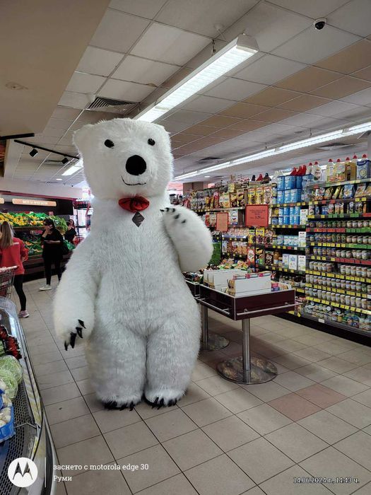 Голяма бяла мечка и бяло сладко зайче за парти!
