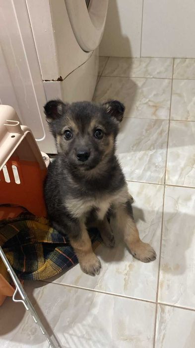 Забери меня, Добрый человек