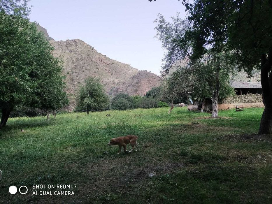 Koʻchmas mulk yer maydoni sotiladi