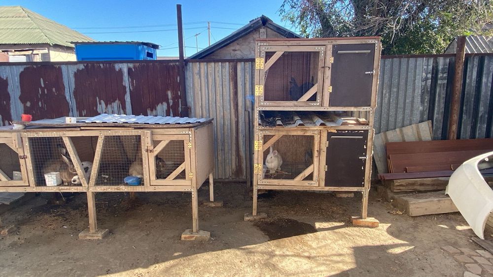 Қоян ұясымен сатылады