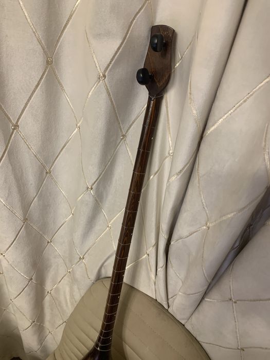 Профессиональная домбыра