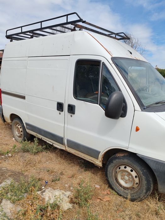 Țap de vânzare tânăr 2 ani
