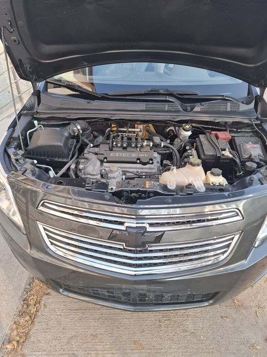 Кобилт 2019 йил радной краска