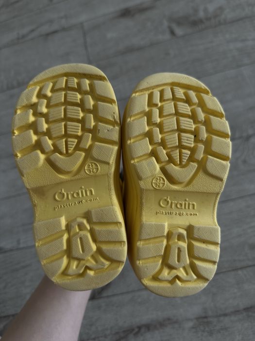 Сапожки демисезон