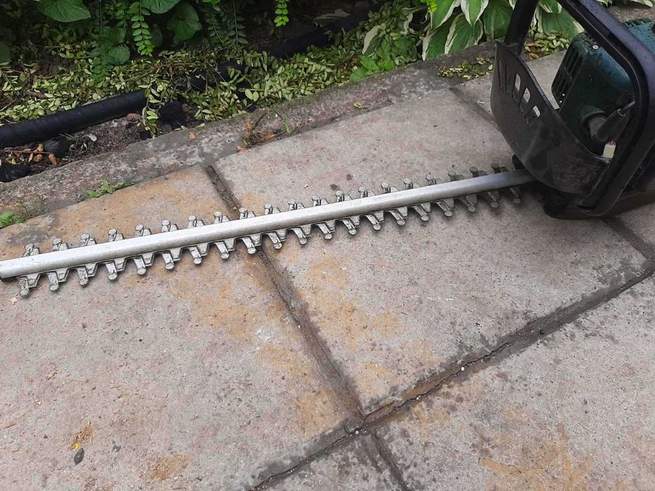 Бензинов храсторез -Park