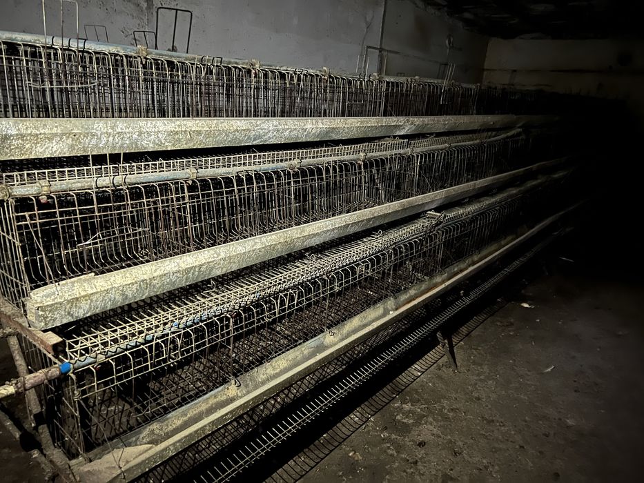 Клетки для кур (несушки)